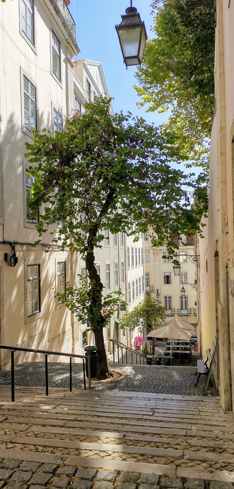 Calçada Nova de São Francisco