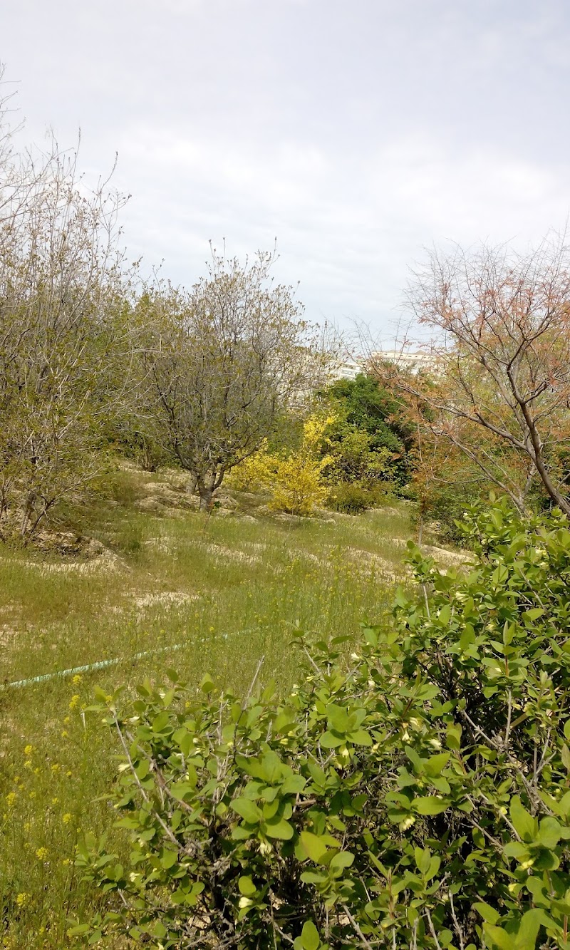 Botanic garden