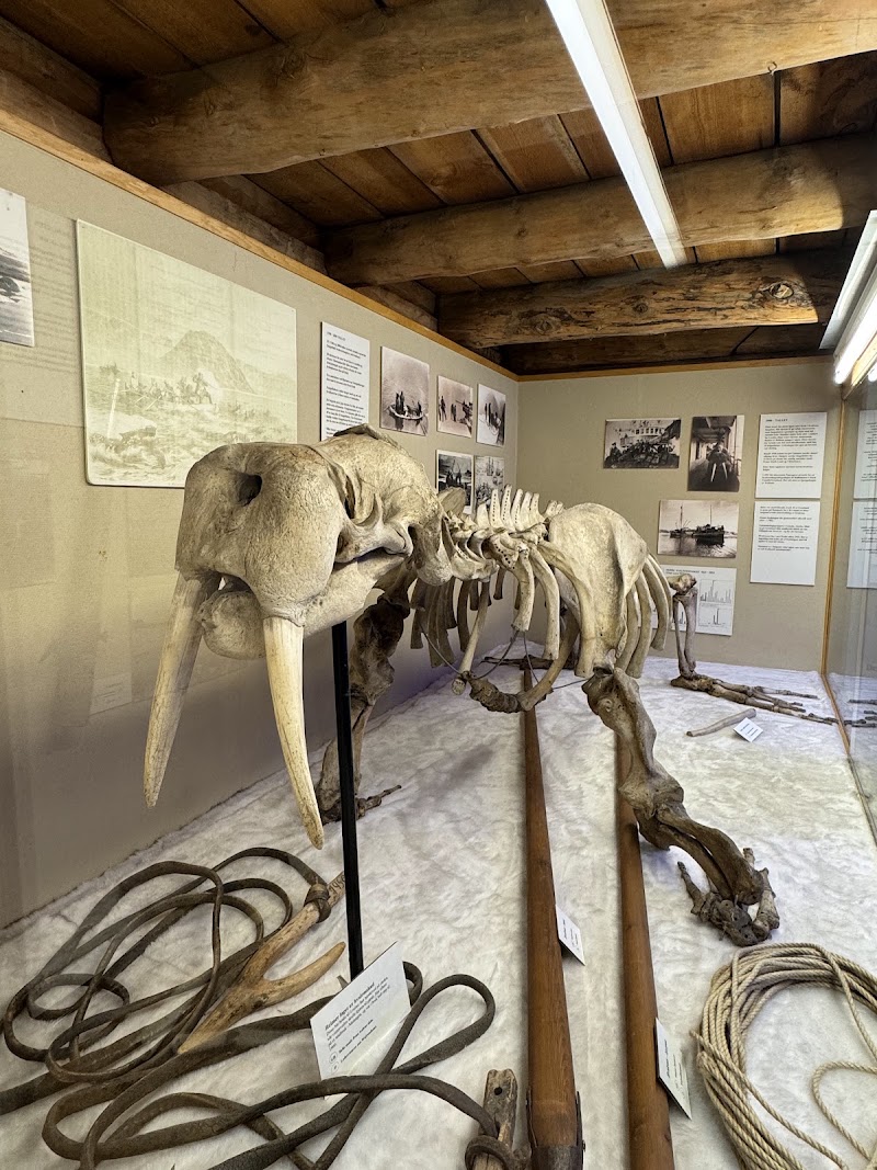 The Polar Museum